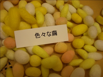 色々繭350.jpg