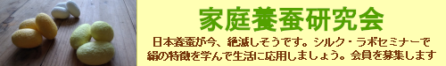 家庭用酸研究会